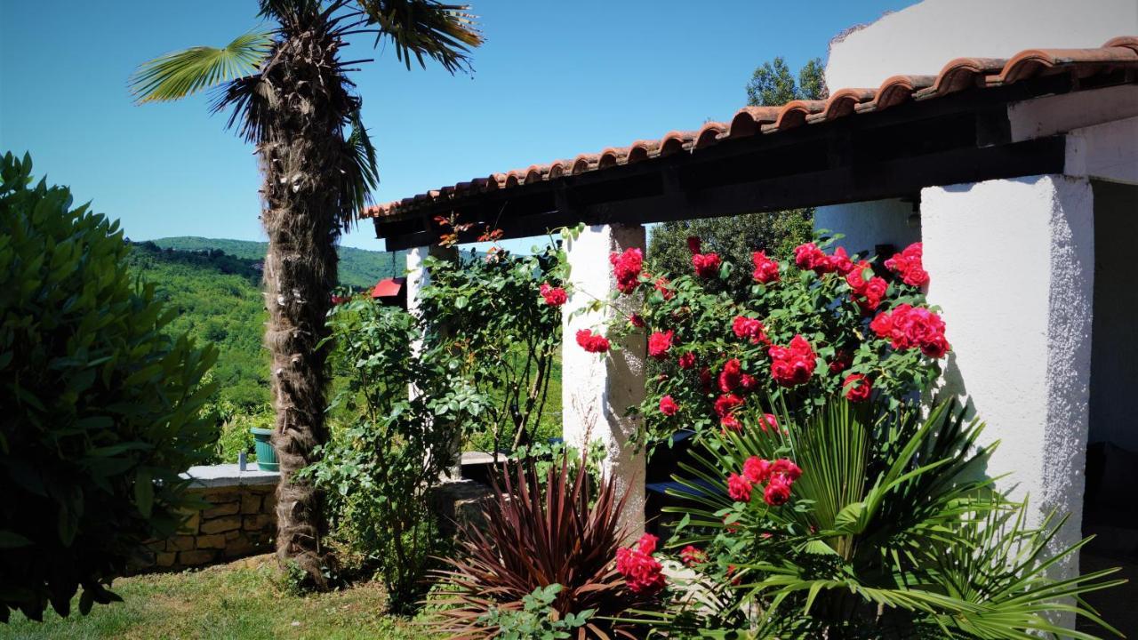 Apartments Garden Motovun Ngoại thất bức ảnh