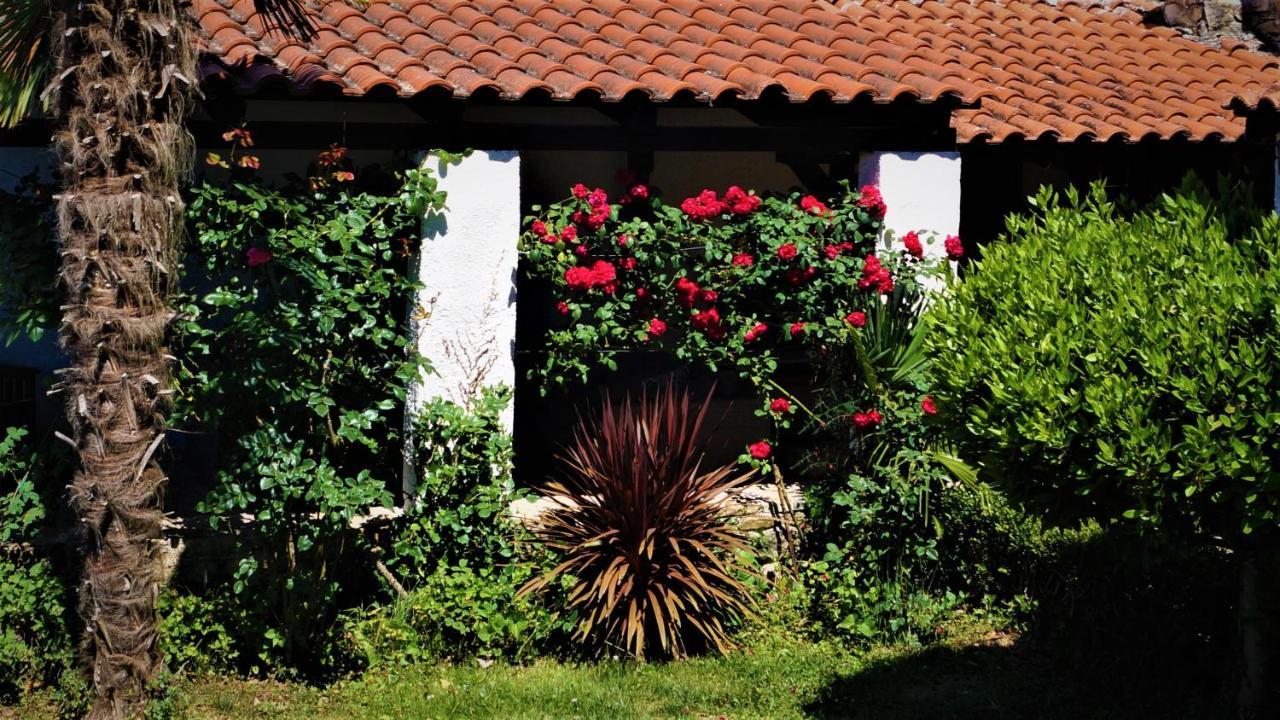 Apartments Garden Motovun Ngoại thất bức ảnh